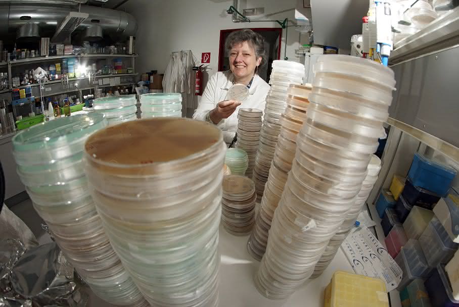 Prof. Dr. Erika Kothe
