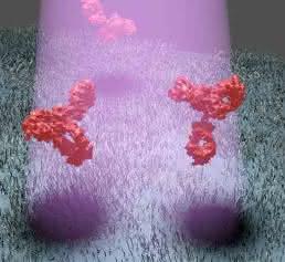 Proteine: Erlanger Forscher detektieren mit Methode namens iSCAT direkt das Streubild einzelner Proteine Proteine: Erlanger Forscher detektieren mit Methode namens iSCAT direkt das Streubild einzelner Proteine