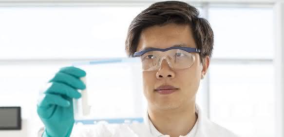 Proteinanalysen: Quantitatives Western Blotting Proteinanalysen: Quantitatives Western Blotting