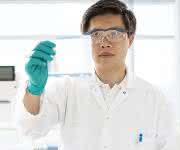 Proteinanalysen: Quantitatives Western Blotting