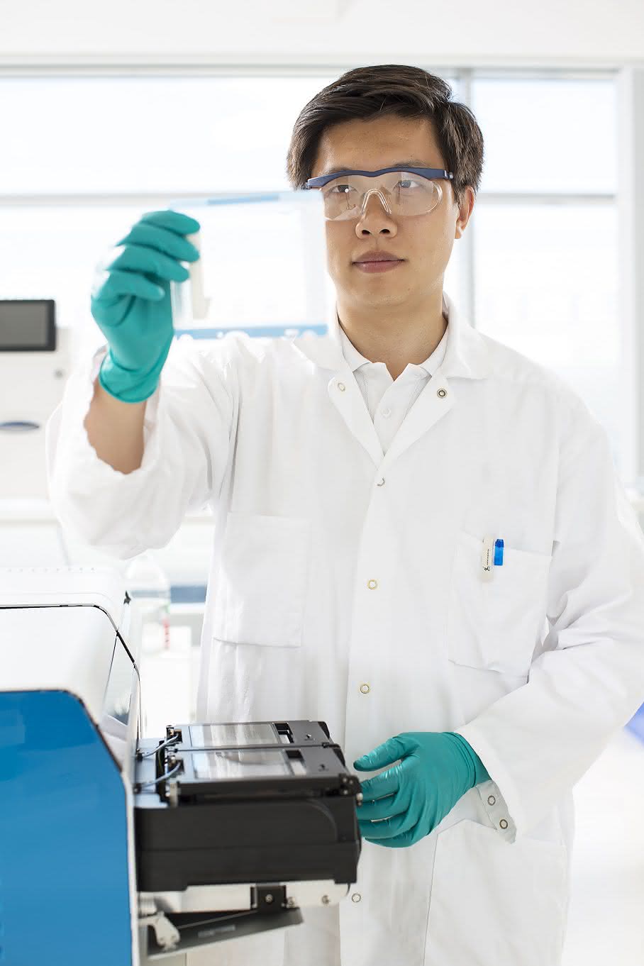 Proteinanalysen: Quantitatives Western Blotting