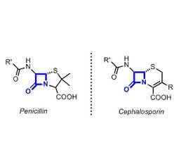 Penicillin