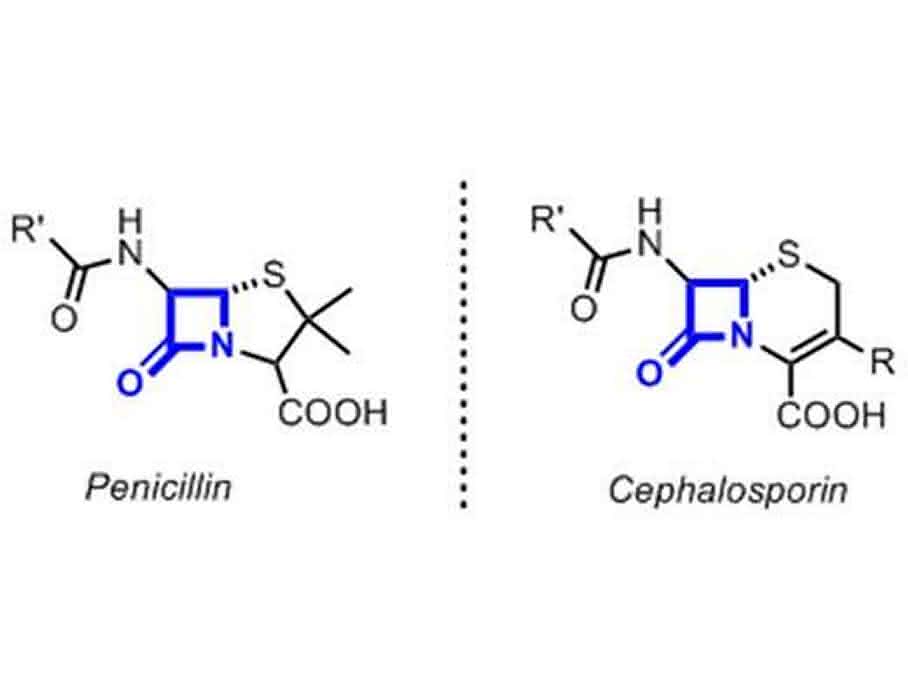 Penicillin