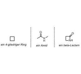 beta-Lactam
