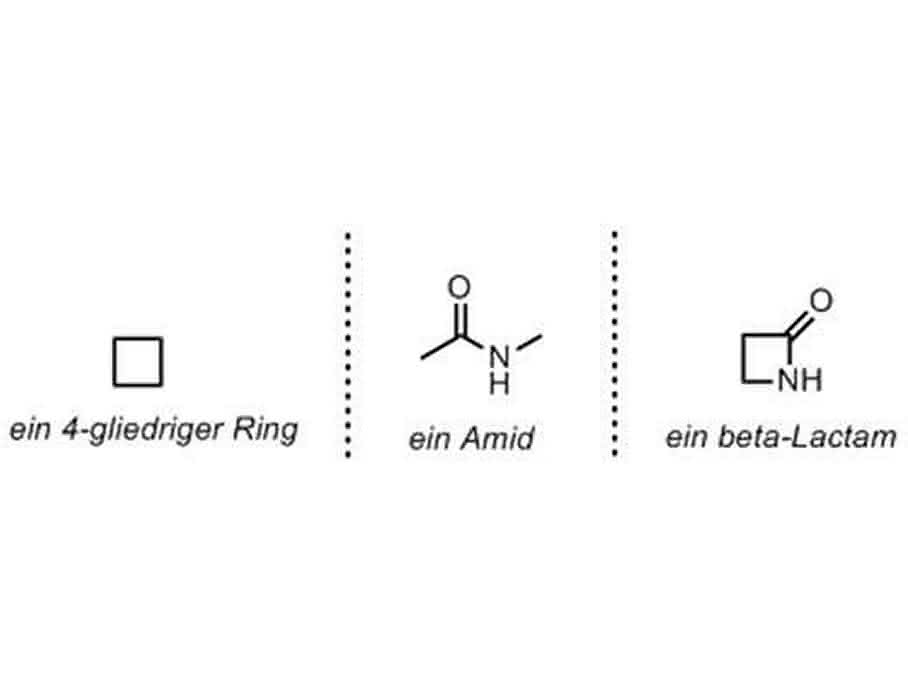 beta-Lactam