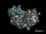 Product Lifecycle Management: Dassault Systèmes präsentiert neue Marke Biovia Product Lifecycle Management: Dassault Systèmes präsentiert neue Marke Biovia