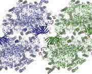 Photosystem II Photosystem II