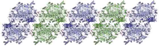 Photosystem II