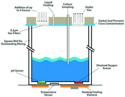 micro-Matrix bioreactor