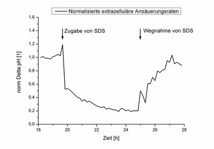 Ansäuerungsaktivität