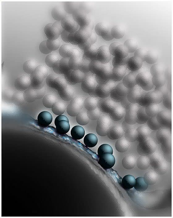Synapse
