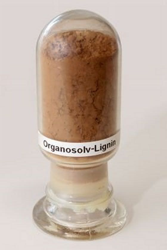 Lignin