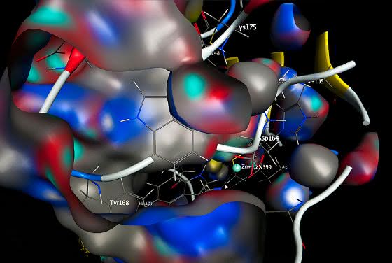Das aktive Zentrum einer bakteriellen Glutaminyl-Zyklase