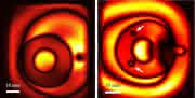 Mehrschicht-Kunststoffrohr aus drei Schichten, Gesamtdicke 20 mm, äußere Schichten 1,5 und 3 mm Mehrschicht-Kunststoffrohr - Werkstoffprüfung mit Terahertz (THz) Technologie