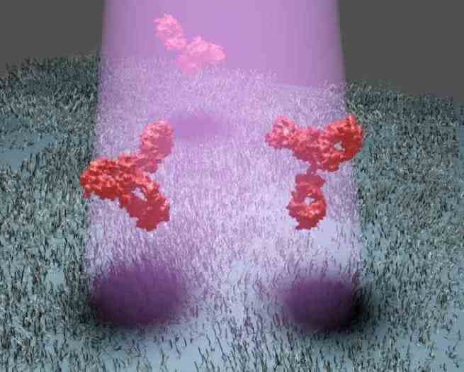 Proteine: Erlanger Forscher detektieren mit Methode namens iSCAT direkt das Streubild einzelner Proteine Proteine: Erlanger Forscher detektieren mit Methode namens iSCAT direkt das Streubild einzelner Proteine