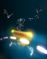 Biosensor für einzelne, unmarkierte Moleküle: Ein Molekül auf der optischen Flüstergalerie