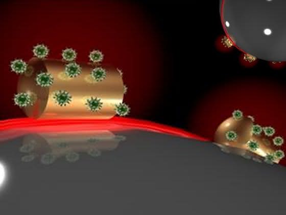 Biosensor für einzelne, unmarkierte Moleküle: Ein Molekül auf der optischen Flüstergalerie Biosensor für einzelne, unmarkierte Moleküle: Ein Molekül auf der optischen Flüstergalerie