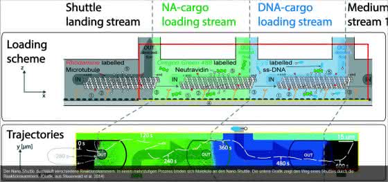 Mikrofluidische Plattform: Montagelinie im Nano-Format