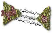Bessere Solarzellen, schnellere Mini-Computer: Elektronenfluss in Nanodrähten