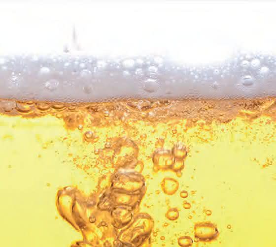 Bier