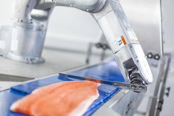 Verarbeitungsprozesse optimieren: 6-Achs-Roboter verarbeitet Fisch Verarbeitungsprozesse optimieren: 6-Achs-Roboter verarbeitet Fisch