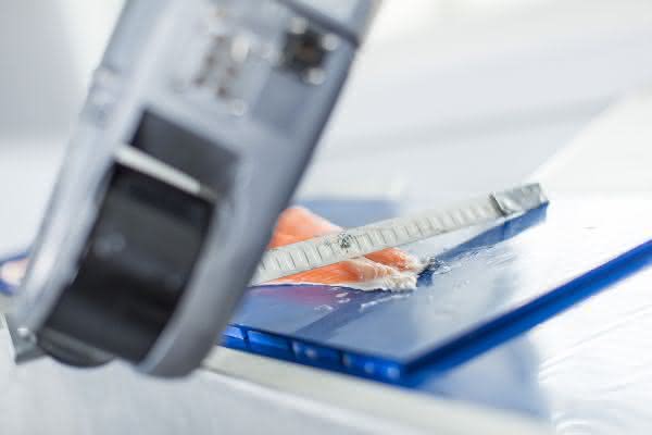 Verarbeitungsprozesse optimieren: 6-Achs-Roboter verarbeitet Fisch Verarbeitungsprozesse optimieren: 6-Achs-Roboter verarbeitet Fisch