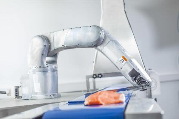 Verarbeitungsprozesse optimieren: 6-Achs-Roboter verarbeitet Fisch Verarbeitungsprozesse optimieren: 6-Achs-Roboter verarbeitet Fisch