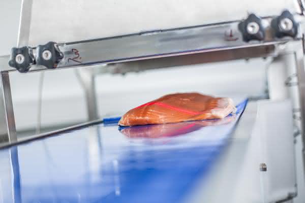 Verarbeitungsprozesse optimieren: 6-Achs-Roboter verarbeitet Fisch Verarbeitungsprozesse optimieren: 6-Achs-Roboter verarbeitet Fisch