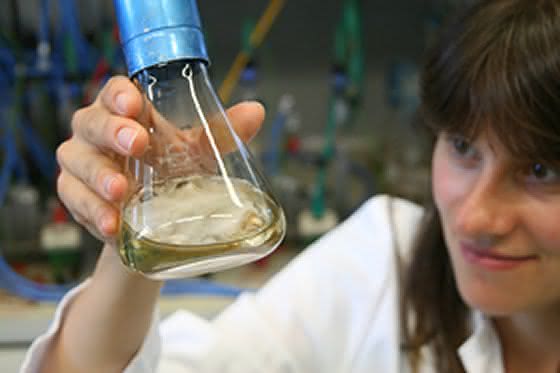 Preis für energieeffiziente Abwasserreinigung auf Biobasis: Mikroschadstoffen mit Enzymen zu Leibe rücken