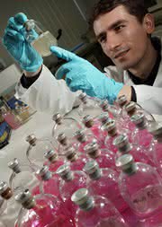 Bakterien-Enzyme bauen Chlorverbindungen ab: Mikroben als Umweltsanierer Bakterien-Enzyme bauen Chlorverbindungen ab: Mikroben als Umweltsanierer