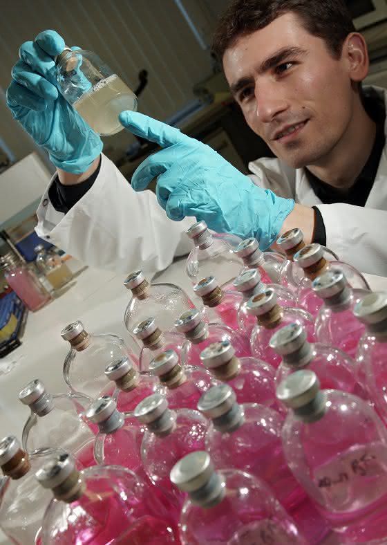 Bakterien-Enzyme bauen Chlorverbindungen ab: Mikroben als Umweltsanierer
