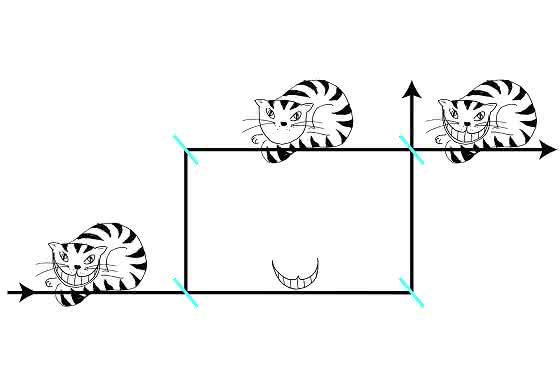 Neutroneninterferometrie: Die Quanten-Grinsekatze