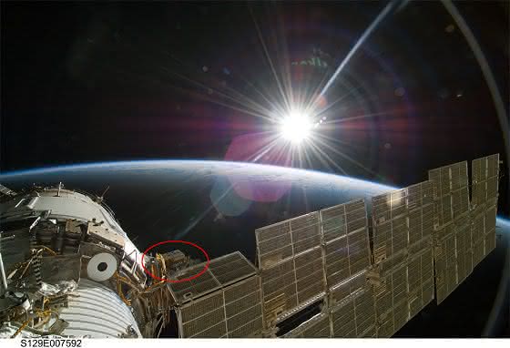 Pflanzliche Astronauten: Die Universität Zürich schickt Moose ins All