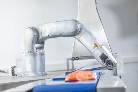 Automatisierung in der Fischverarbeitung: Ohne Blut und Gräten