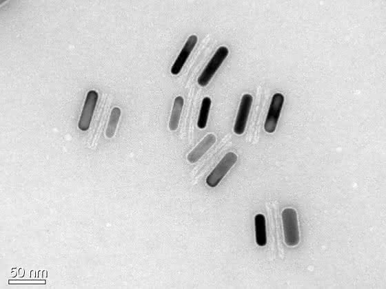 Schalter für die Nanooptik: DNA und Gold-Nanostäbchen als Lichtschalter