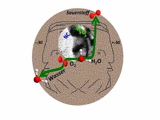 Hoffnung auf günstigere Metall-Luft-Batterien und Brennstoffzellen: RUB-Chemiker entwickeln Katalysator mit zwei Funktionen