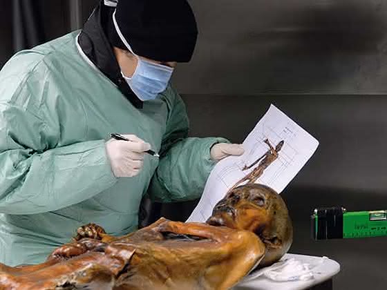 Ötzis „nichtmenschliche" DNA analysiert: Forscher stoßen in Ötziprobe auf Krankheitserreger