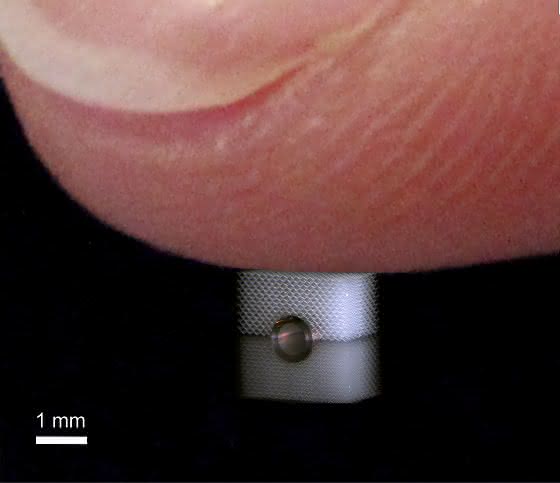 Mechanische Tarnkappe: KIT-Forscher schützen die Prinzessin vor der Erbse