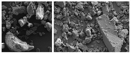 Biowachspartikel: Alternative zu Mikroplastik