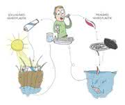 Biowachspartikel: Alternative zu Mikroplastik