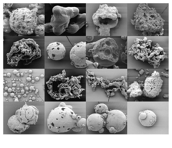 Biowachspartikel: Alternative zu Mikroplastik