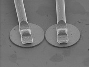 Paradoxes Verhalten: Laserphysik auf den Kopf gestellt