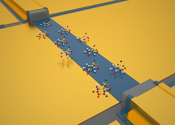 Lab-on-a-Chip: Chemischer Sensor auf einem Chip