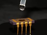 Lab-on-a-Chip: Chemischer Sensor auf einem Chip