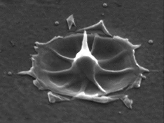 Lasertechnik: Laserblitze erzeugen Nano-Antennen