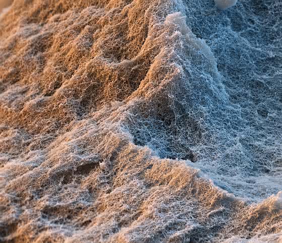 Forschung und Innovation: BASF erneut führend