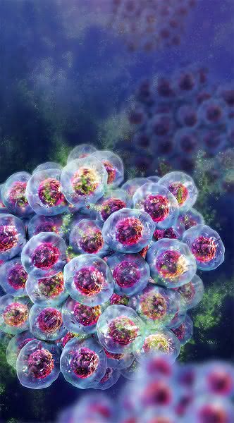CellTiter-Glo-Familie erweitert: Viabilität in 3D-Kulturen bestimmen
