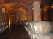 EU-Projekt PreserveWine-DEMO: Konservierung von Wein ohne Sulfit-Zugabe