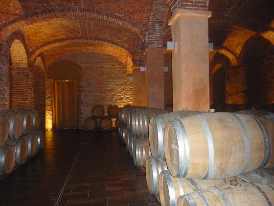 EU-Projekt PreserveWine-DEMO: Konservierung von Wein ohne Sulfit-Zugabe