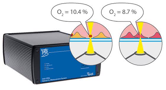 Für in-vitro-Experimente: Direkte Messung von Sauerstoff in Zellen und Geweben